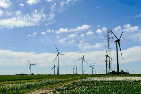 The Science and Spirituality of Cleansing Energy Fields: Insights for the UK Mindset