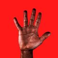 A Comprehensive Guide to Hand Shapes and Their Personality Meanings in Palmistry
