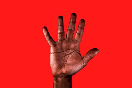 A Comprehensive Guide to Hand Shapes and Their Personality Meanings in Palmistry