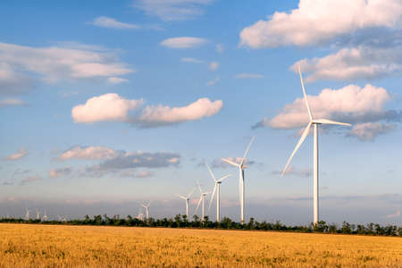 The Fundamentals of Energy Fields: Understanding Your Aura in the Modern British Context