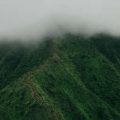 An In-Depth Guide to the Mounts of the Palm: Meanings, Myths, and British Traditions