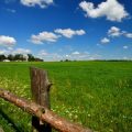 The Taurus Monthly Forecast: British Countryside, Comfort, and Cosmic Change