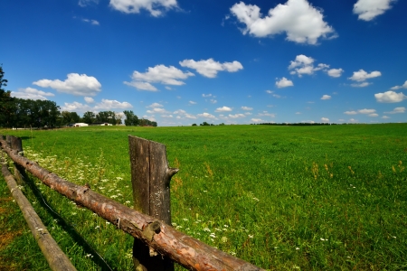 The Taurus Monthly Forecast: British Countryside, Comfort, and Cosmic Change