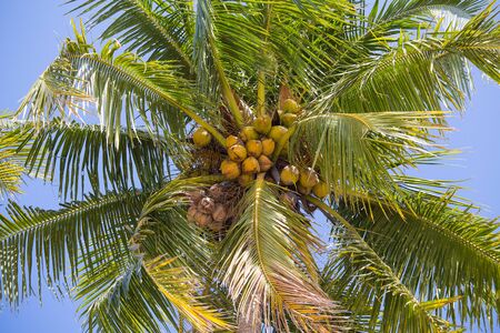 Exploring British Superstitions and Cultural Beliefs Around Palm Reading at Home