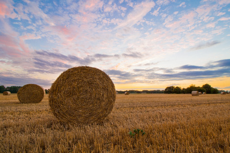Cunning Folk Through the Ages: Guardians of Rural Communities