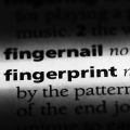 Finger Prints, Patterns, and Their Interpretations in British Palmistry Traditions