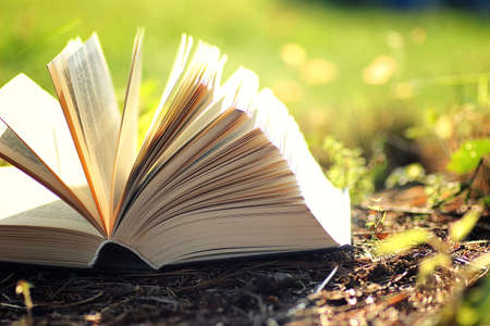 Numerology in British Literature: References to Chaldean and Pythagorean Systems in Classic Works
