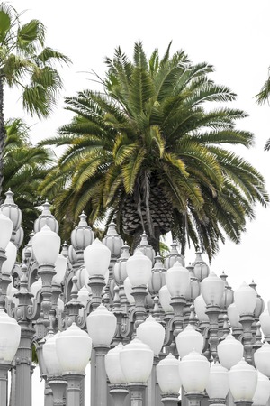 Historically Royal Palms: Myths about Famous Hands in British History