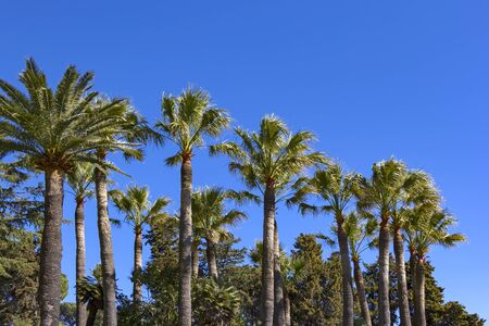 Hollywood Versus Reality: Palm Reading Myths Popularised by British Media