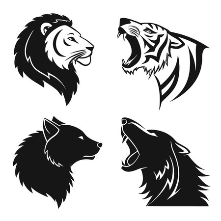 Character Names Decoded: Numerological Patterns